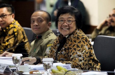 Pemerintah Didesak Rehabilitasi Hutan dan Lahan