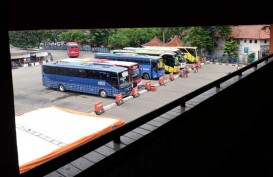 Dishub Pekanbaru Dorong Pembentukan BUMD untuk Operasikan Bus Feeder