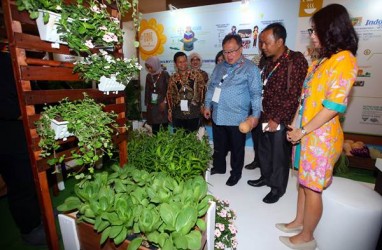 Indonesia Akan Jadi Tuan Rumah Pertemuan Internasional Percepatan SDGs