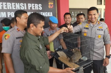 Polres Majalengka Tangkap Pelaku Penjual Satwa Dilindungi