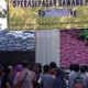 Jatim Berpeluang Menuju Swasembada Bawang Putih