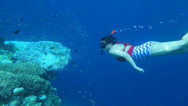 Bali Dapat Stimulus Pariwisata, Ini Komentar Pemda