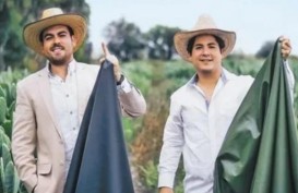 Dua Pengusaha Meksiko Ciptakan Kulit Sintetis dari Kaktus