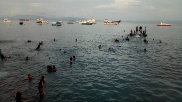 Ini Penyebab Ratusan Ikan Mati di Pantai Falajawa Ternate