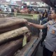 Polres Majalengka‎ Buru Tersangka Illegal Logging