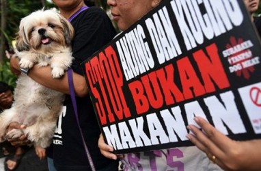 Pemprov Jateng: Stop Makan Daging Segawon (Anjing)