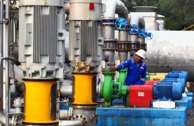 DEN Targetkan 12 Daerah Selesaikan Rancangan Umum Energi 2020