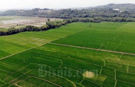 Pemprov Jateng: Kawasan Pangan Ditetapkan 1,02 juta Hektare
