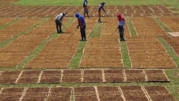 DBH Cukai Hasil Tembakau Dihitung, Jatim Dapat Paling Banyak