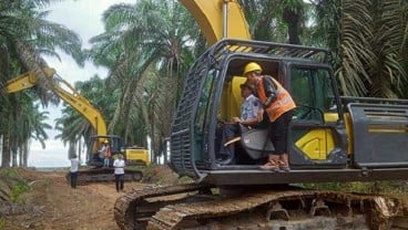 OKI Remajakan 10.500 Hektare Kebun Sawit