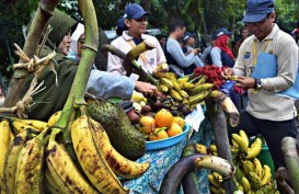 Banten Siapkan 1.000 Hektare untuk Perkebunan Durian dan Pisang