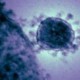 Penularan Virus Corona di Masyarakat Terkonfirmasi di Irlandia