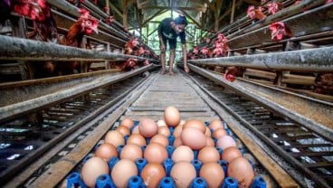 Kementan Jamin Pasokan Daging dan Telur Aman Hingga Lebaran