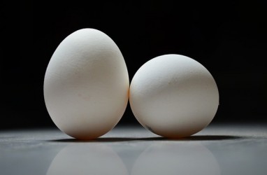 Benarkah Sering Makan Telur Bikin Sakit Jantung?