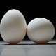 CEK FAKTA : Telur Penyebab Kolesterol dan Penyakit Jantung