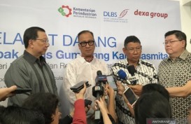 Dexa Group Tekan Impor Dengan Produksi Obat Modern Asli Indonesia