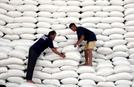 Siap Lockdown, Pasokan Pangan Aman Sampai Akhir Tahun