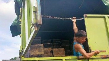 Aparat Cegah Peredaran Kayu Ilegal di Sumsel dan Jambi