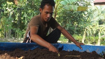 Sukses Membudidayakan Cacing, Kristianto: Ini Bisa Menjadi Alternatif Income Bagi Petani Sawit