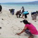 Fenomena Massal Ikan Hidup Terdampar di Pantai, Ini Penyebabnya