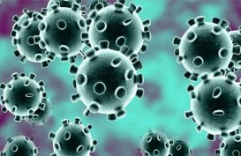 Viral Virus Corona Mati Dicuci Detergen