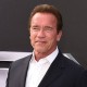 Donasi Untuk Virus Corona, Arnold Schwarzenegger Kolaborasi dengan TikTok