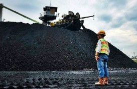 Ekspor Batu bara Wajib Kapal Lokal Batal, Potensi Bisnis Baru ke China