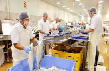 Industri Pengolahan Ikan Terdampak Corona