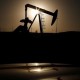 Harga Minyak Kian Terpuruk, Akankah Texas Berkongsi dengan OPEC?