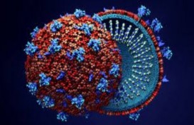 Jambi Bekali Tim Medis Soal Penanganan Virus Corona Jenis Baru