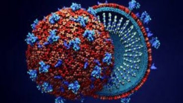 Anak Usia 12 Tahun Berjuang Melawan Virus Corona 