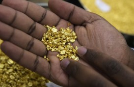 Tambang Ditutup, Investor Kesulitan Cari Emas 