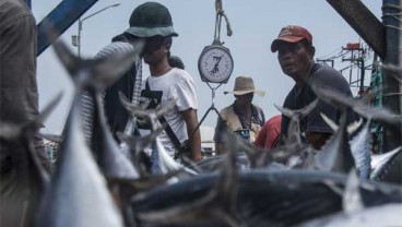 Pendapatan Pengecer Ikan Muara Angke Hancur-hancuran Dihajar Corona