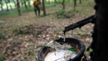 Petani Karet di Sumsel Diminta Kuat Mental Hadapi Dampak Ekonomi Corona