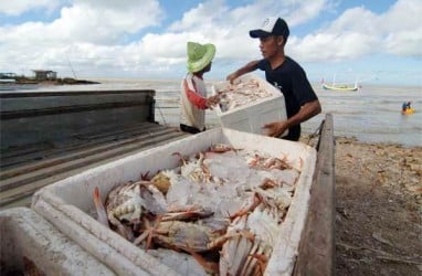 Cegah Corona, KKP Berlakukan Layanan Online Untuk Pembudidaya