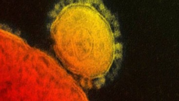 5 Kelemahan Virus Corona yang Mesti Anda Ketahui