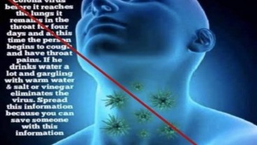 Cek Fakta : Berkumur Dengan Air Garam dan Cuka Apel Membunuh Virus Corona ?