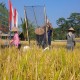 Tanah Bumbu Siap Sokong Pangan Ibu Kota Baru