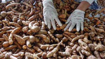 Curcumin Perkuat Daya Tahan Tubuh Hadapi Pandemi Corona