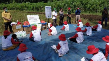 Petrokimia Gresik Gelar Panen Padi, Produktivitas Lahan Naik 20%