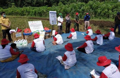 Petrokimia Gresik Gelar Panen Padi, Produktivitas Lahan Naik 20%