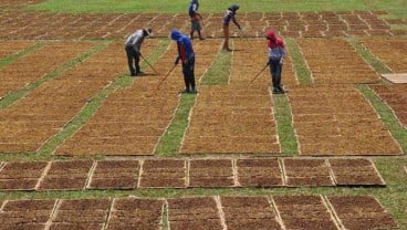 Kinerja Manufaktur Tertekan, Industri Mamin dan Tembakau Masih Ekspansif