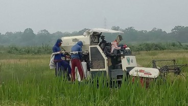 Panen Raya, Petani di Sumsel Terapkan Protokol Pencegahan Corona