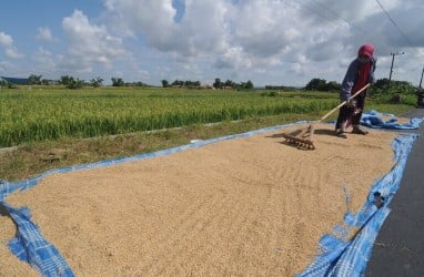 Jatim Hitung Ulang Ketahanan Pangan 