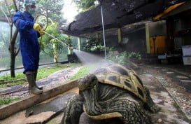 Cegah Corona, 340 Titik di Kota Malang Disemprot Disinfektan