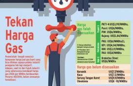 Harga Gas US$6 Per MMBtu Bakal Turunkan Harga Produk Industri