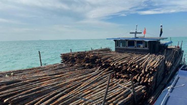Bea Cukai Kepulauan Riau Amankan Kapal Pengangkut Kayu Ilegal