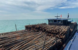 Bea Cukai Kepulauan Riau Amankan Kapal Pengangkut Kayu Ilegal