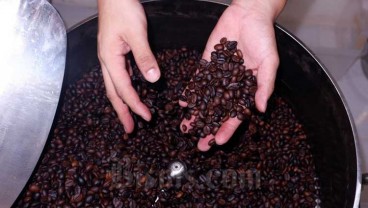 Ini Cara Pemerintah Selamatkan Bisnis Kopi di Indonesia