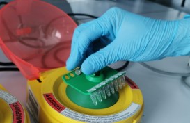 Bio Farma Produksi Massal Test Kit RT-PCR